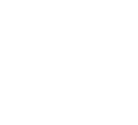 Liontech IR